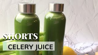 Celery Green Juice Recipe for Detox amp Weight Loss  Celery Juice for Beginners  Shorts [upl. by Niuqaoj346]