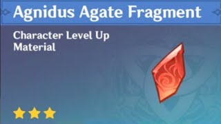 HOW TO GET AGNIDUS AGATE FRAGMENT MATERIALS Genshin Impact [upl. by Saiff202]