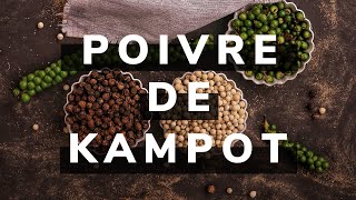 Poivre de Kampot  Découvrez le meilleur poivre du monde [upl. by Izabel]