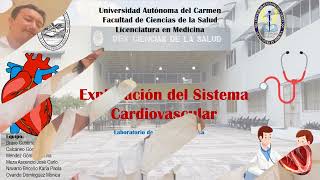 Examen Físico del Aparato Cardiovascular para Principiantes [upl. by Ahsenra]