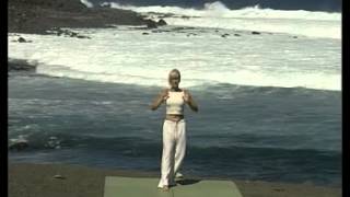 Tai Chi Chi Kung Spanish [upl. by Iverson]