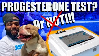 Are Progesterone Test Necessary [upl. by Allecram]