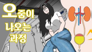 소변이 나오는 과정 애니메이션 [upl. by Kylah278]