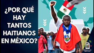 ¿Los HAITIANOS están recibiendo PROGRAMAS SOCIALES a cambio de su voto  Mientras tanto en México [upl. by Hannaj]