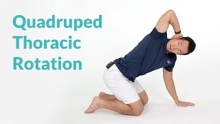 Quadruped Thoracic Rotation for Spine Mobility [upl. by Yim]