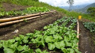 Características de la Agroecologia una Agricultura Más Sana  TvAgro por Juan Gonzalo Angel [upl. by Royden]