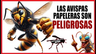 LAS AVISPAS PAPELERAS SON ALTAMENTE PELIGROSAS [upl. by Brady122]