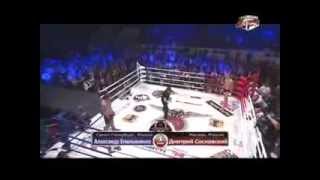 Alexander Emelianenko vs Dmitriy Sosnovsky 25 01 2014 [upl. by Ardnasal434]