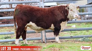 LOT 30 TUMMEL PACKSADDLE T359 S [upl. by Yruam]