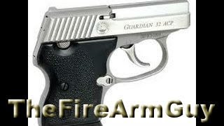 NAA Guardian 32acp Shooting amp Review  TheFireArmGuy [upl. by Ariel]