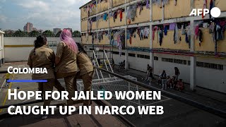 Colombia offers new hope for jailed women caught up in narco web  AFP [upl. by Winton284]