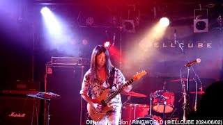 【LIVE】Diffused Reflection  RINGWORLD藤井光Solo ver ELLCUBE 20240602 [upl. by Mina516]