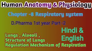 Part of Respiratory system  Lungs  Alveoli  Regulation Mechanism of Respiration  D Pharma 💥📖 [upl. by Annamarie]