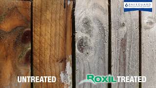 Waterproofing Protection For Softwoods In A Single Coat  Roxil Wood Protection Cream [upl. by Eceerahs502]