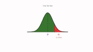 How to calculate One Tail and Two Tail Tests For Hypothesis Testing [upl. by Eednar]