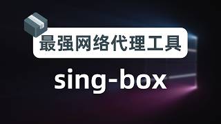 【瑞士军刀】放弃fakeip，拥抱realip，最强网络代理工具singbox新手指南，从此不知DNS泄漏DNS污染为何物，软路由插件homeproxy，奈飞DNS解锁、sniff流量嗅探覆写解析 [upl. by Thetes]