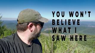 CAMPING in an Oregon Forest  REACTION Terrain Analysis  Episode 1 Siuslaw [upl. by Tann]