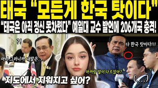 해외감동사연태국 quot모든게 한국 탓이다quot quot태국은 아직 정신 못차렸다quot 예일대 교수 발언에 206개국 충격 [upl. by Rusty]