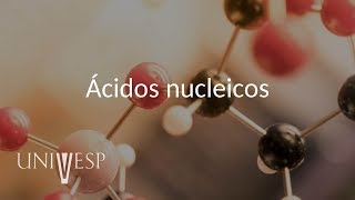 Bioquímica  Aula 11  Ácidos nucleicos [upl. by Aittam]