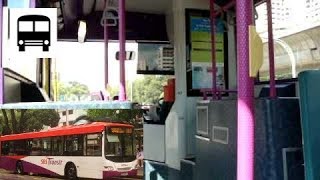 Scania K230UB Demo SBS8033D  SBS Transit Bus Service 183 [upl. by Eatnuahc178]