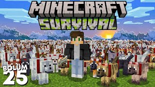 Bir Deney İçin 1000 Kurt Evcilleştirdim Yeni Türler  Minecraft Survival 25 [upl. by Hannan704]