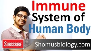 Innate and adaptive immunity  immune system of human body lecture [upl. by Melvena]