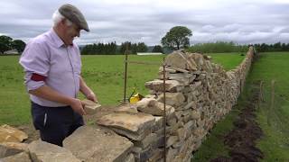 Patsy McInaw  Dry Stone Wall Building [upl. by Neelasor]