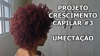 Projeto Crescimento Capilar 3  Umectação [upl. by Josephson570]