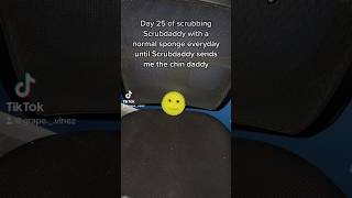 Scrubbing A Scrub Daddy Day 25 [upl. by Luba]