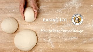 How to knead bread dough [upl. by Schonthal]