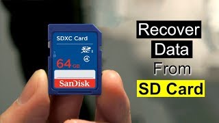 How To Recover Deleted Files From SD Card For Free [upl. by Glenden]