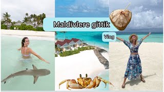 MALDIVLER VLOG  KÖPEKBALIKLARIYLA YÜZDÜK  İLK DEFA MALDIVLERE GİTTİK  BALAYI OTELİNDE KALDIK [upl. by Delmore80]