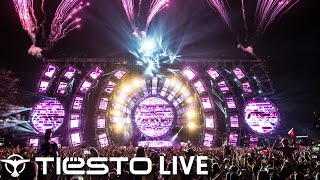 TiÃ«sto  Live  Ultra Music Festival 2014 [upl. by Terhune155]