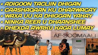 adigoo tacliin dhigan lyrics  ninka reer u dhaanshee  bacalwaan adigoo tacliin dhigan [upl. by Anyehs]