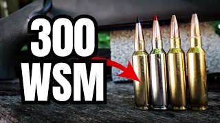 300 WSM Ammo Test Part 1 Savage 110 Trail Hunter [upl. by Beverley]