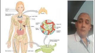 Hematopoietic System Revision by DrFawzy Abou Galala MD [upl. by Kimmi399]