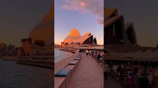 Autumn sunsets in Sydney Australia ❤️ sydneyaustralia australia operahouse travel [upl. by Caroline]