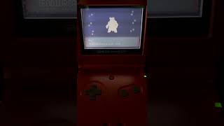 Shiny Teddiursa evolves into Ursaring pokemon gba gbasp shinypokemon emerald retrogaming [upl. by Gayn]