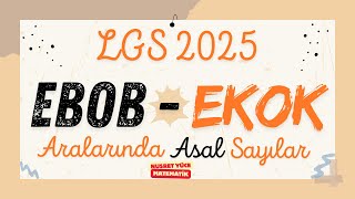 EBOB  EKOK Aralarında Asal Sayılar  LGS 2025  8 Sınıf Matematik [upl. by Euqinu]