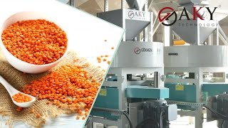 Lentils Splitting and Cleaning Plant  AKY Technology [upl. by Ahsita]