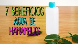 Agua de Hamamelis ¿Para qué sirve  Cuidado facial y piel  Tips de Belleza  Catwalk [upl. by Nivac]