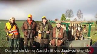 Niederwildjagd am 19122015 [upl. by Vona]