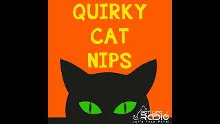 Quirky Cat Nips  Episode 8 Happy St Catricks Day [upl. by Aihsemat957]