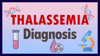 How to diagnose Thalassemia  Lab results of thalassemia [upl. by Yellehs]