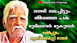 എത്ര സൂക്ഷിച്ചിട്ടും അത് സംഭവിച്ചു  Elephant Frames [upl. by Edlyn]