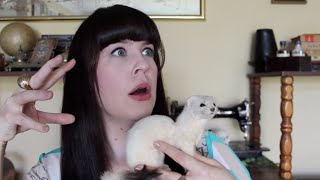 Ask a Mortician Human Taxidermy [upl. by Sean]