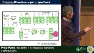 Philip Poole Plant Control of the Rhizosphere Microbiome [upl. by Korrie]