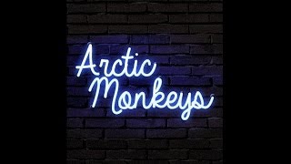 Arctic Monkeys  When The Sun Goes Down  Brianstorm copycover [upl. by Droffats634]