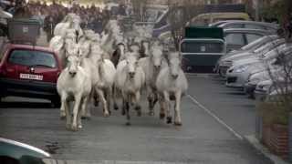 TRANSHUMANCE Teaser ©Théâtre du Centaure [upl. by Ahsiekel]