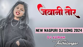 Jawani Tor Nagpuri Dj Remix Song 2024  Theth Nagpuri Dj Remix Song  Nagpuri Dj Song 2024 DJALIRAM [upl. by Gora]